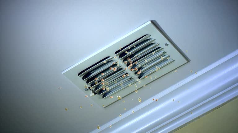 Best Best Air Duct Cleaning Company  in Keego Harbor, MI